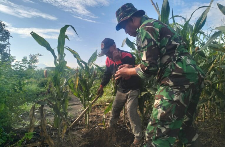 Sinergi TNI Bersama Perhutani, LMDH dan Pemdes Manggis – Puncu Jaga Hutan Demi Kelangsungan Hidup Anak Cucu